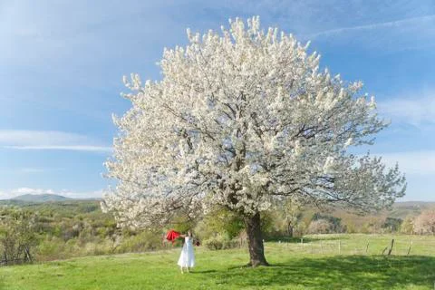 Harmony with Nature Stock Photos