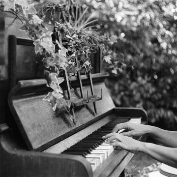 In harmony with nature 库存照片