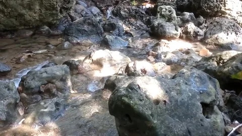 Harmony of the rocky river Stock Footage 333151088