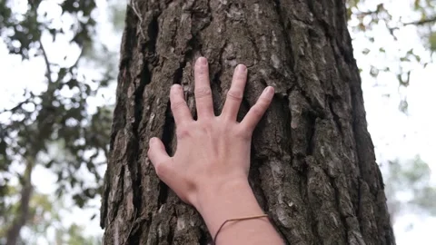 Harmony Tranquility Relaxation. Save the green planet Earth. Stock Footage 221766624