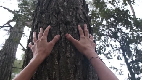 Harmony Tranquility Relaxation. Save the green planet Earth. Stock Footage 221766626
