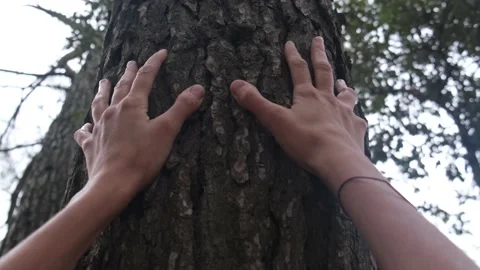 Harmony Tranquility Relaxation. Save the green planet Earth. Vidéo 221766628