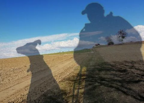 Harmony   from  two  friends Foto stock