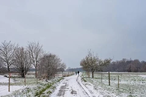 Harmony of Winter Elements: Snow-Clad Fields, Scenic Rural Roads, and the ... 스톡 사진