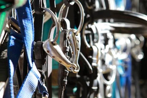 Harness with bits for horses in the foreground Stock Photos
