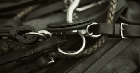 Harness Stock Footage 26184470