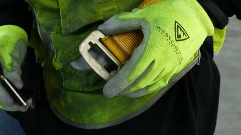 Harness Stockbeeldmateriaal 123558818