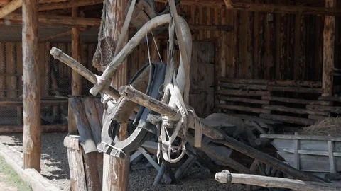 Harness, horse harness in the barn Stock Footage 116082853