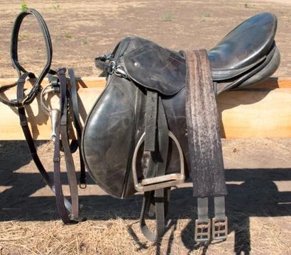 Harness Stock Photos