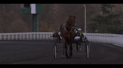 HARNESS RACING - HORSES APPROACHING 2 Stock Footage 25128859