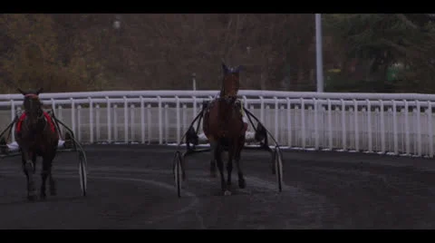 HARNESS RACING - HORSES APPROACHING Stock Footage 25128342