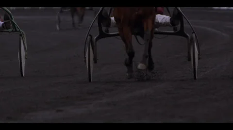 HARNESS RACING - HORSES APPROACHING Stock Footage 25128595
