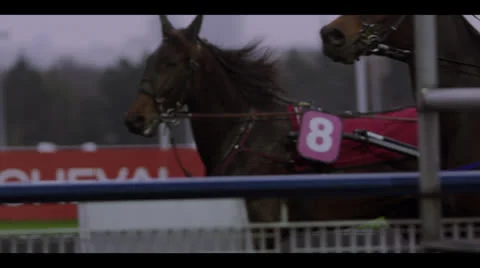 HARNESS RACING - FROM SIDE Stock Footage 25162393