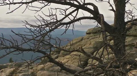 Harney Point Vista Stock Footage 11799410