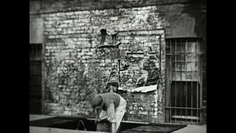 Harold Lloyd in High and Dizzy Stock Footage 83605413