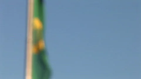 Harp Flag, Dublin Stock Footage 387414