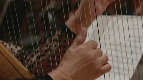 Harp Stock Footage 157156341