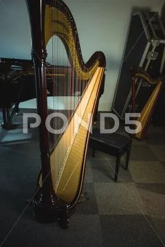 Harp In Music School