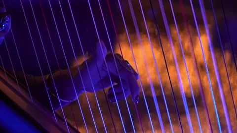 Harp Performance Stock Footage 318303173