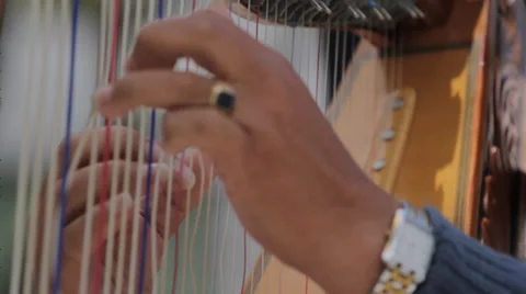 Harp Players Hands Close Up Vídeo Stock 39711717