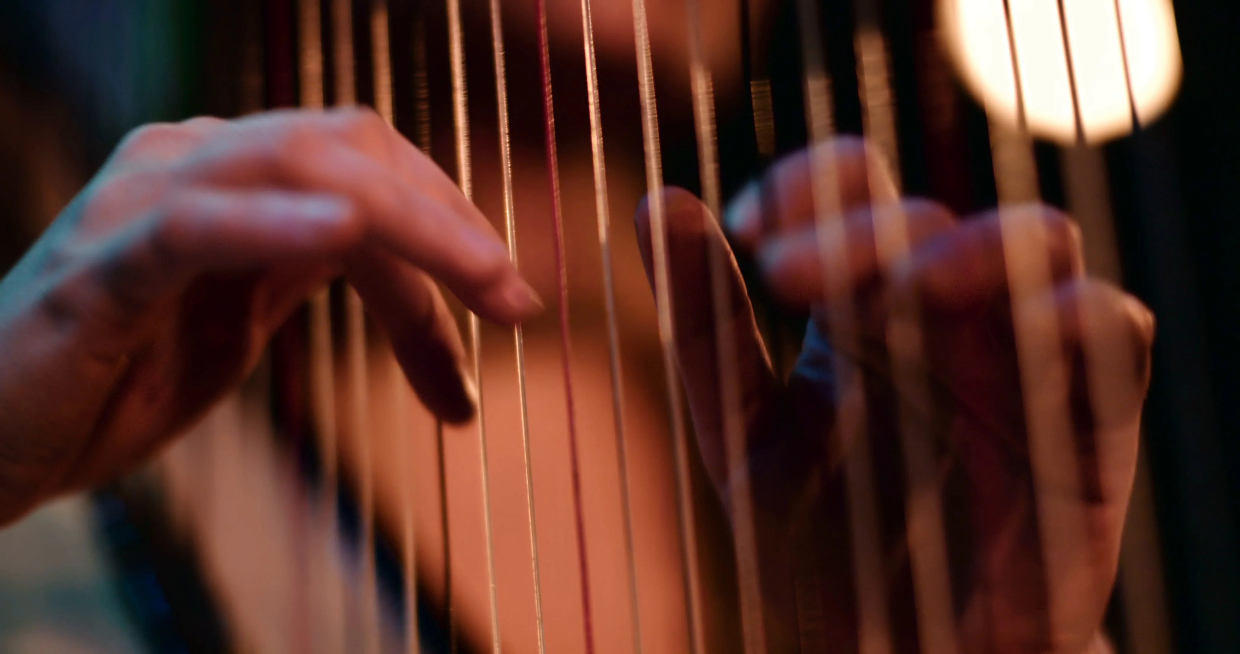 hand harp player