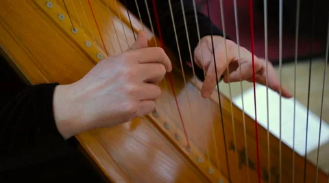 Harp Plucking CU Stock Footage 58505135