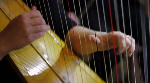 Harp Plucking Stock Footage 58505433