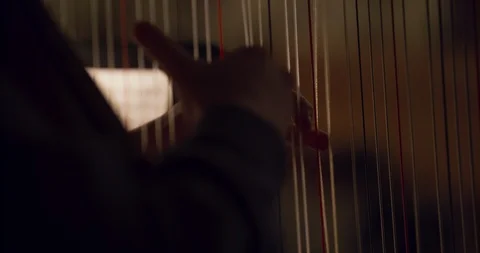 Harp symphony orchestra Video stock 107009629