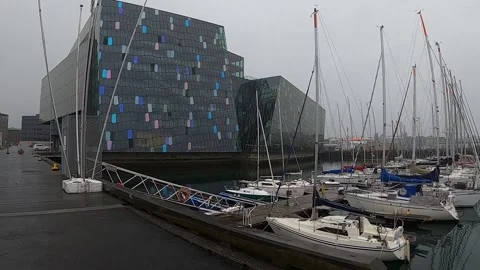 Harpa Stock Footage 333406300