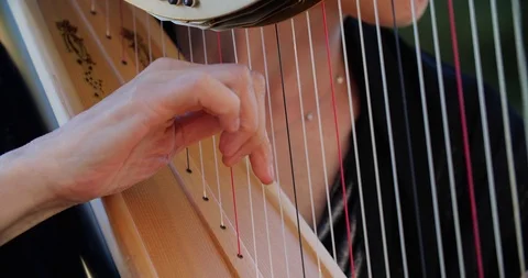 Harper Stock Footage 126594679