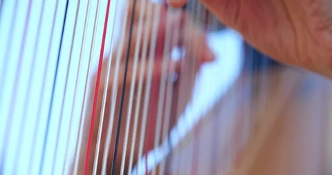 Harper hands Stock Footage 126593336