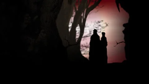 Harpies Video stock 241146363