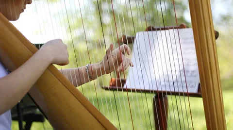 Harpist Video stock 24813777
