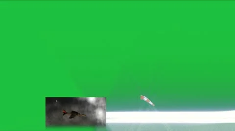 Harrier Jet Flying, Lower Thirds Animation Video stock 12321800