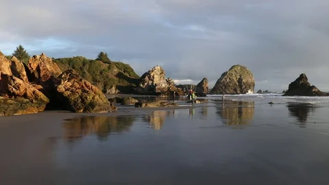 Harris Beach State Park Vídeo Stock 70624929