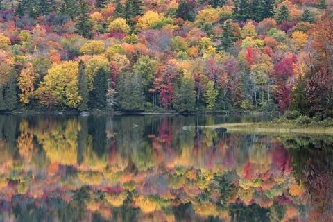 Harris Lake Fall Reflections Foto stock