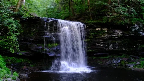 Harrison Wright Falls, Ricketts Glen State Park, Pennsylvania Stock Footage 91597565
