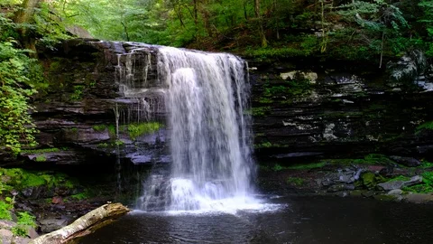 Harrison Wright Falls, Ricketts Glen State Park, Pennsylvania 스톡 동영상 91597665