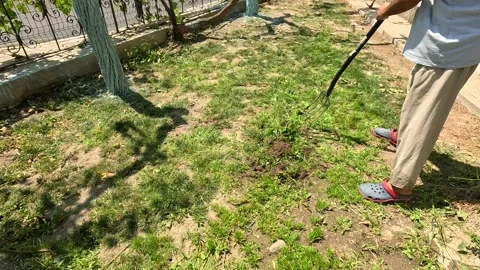 Harrow Stock Footage 281159111