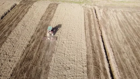 Harrowing the soil with old caterpillar tractor Stock-Footage 149223729