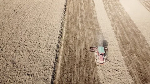 Harrowing the soil with old caterpillar tractor Stock Footage 149225064
