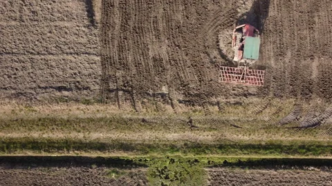 Harrowing the soil with old caterpillar tractor Vídeo Stock 149250595