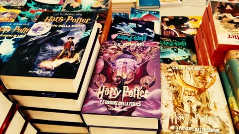 Harry Potter Stock Footage 319583997