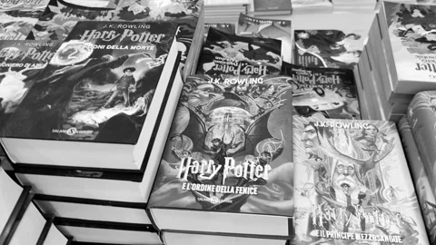 Harry Potter Stock Footage 319584012