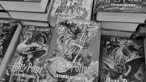 Harry Potter Stock Footage 319584092