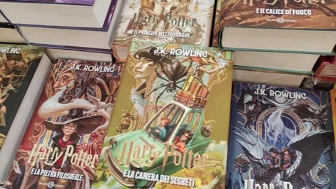 Harry Potter Stock Footage 319584104