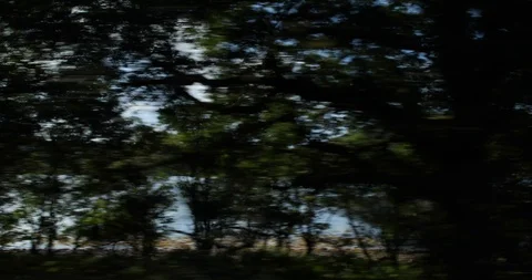 Harry potter train Video stock 101137175