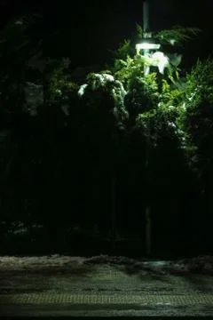 Harsh light Stock Photos