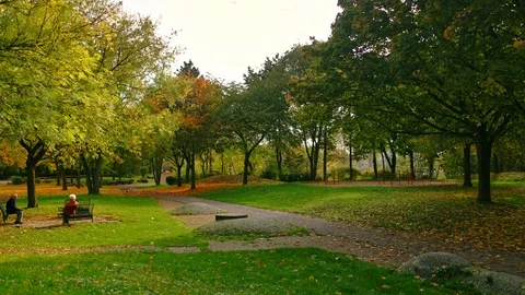Hartenbergpark Mainz / Timelapse Vídeos de archivo 124642318