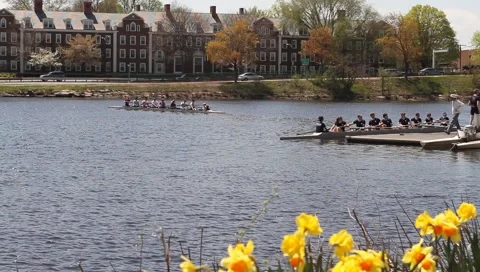Harvard boat 1 Stock Footage 5296761